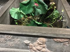 -灶东家民间菜(回兴店)