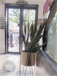 -LJOY丽锦造型·烫发染发