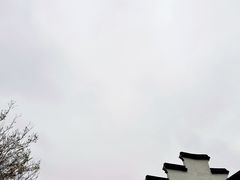 -三林塘老街