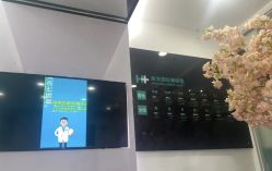 -黑奥秘脱发白发中心