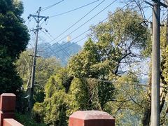 -南山植物园