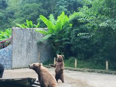 -贵州森林野生动物园