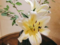 -旺顺阁海鲜广场(亚运村店)