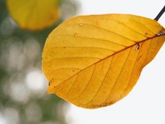 -宝界山林公园