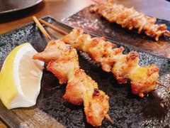 -鸟屯(三里屯店)
