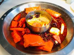 -孙毛肚火锅(春熙路店)