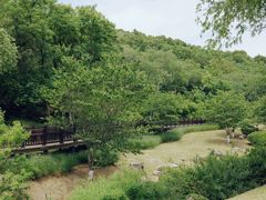 -羊山湖公园