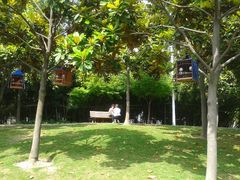 android_upload_pic-双拥公园