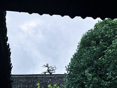 -江南第一家