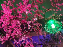 -风暴音乐烧烤串吧