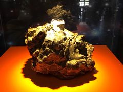-紫金山天文台