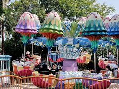 -海合安武汉极地海洋公园