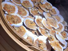 扇贝-吉布鲁牛排海鲜自助(成都大悦城店)