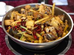 干锅牛蛙-馋嘴蛙火锅