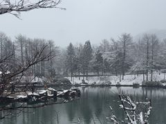 -四明山国家森林公园