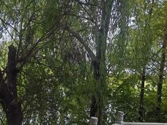 -梁鸿国家湿地公园