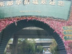 -东部华侨城