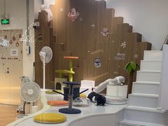 -COLOR PETS 撸猫馆·购猫·猫咖(长风大悦城店)