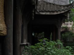 -黄龙溪古镇
