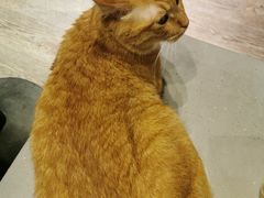 -小时光咖啡馆(开森度假森林店)