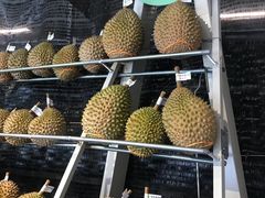 -都念榴莲·城市榴莲