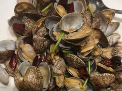 -海派美食·家宴海鲜青岛菜·石锅鲽鱼头(东方城店)