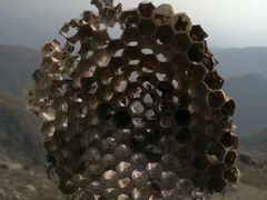 -龙口南山旅游景区