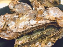 桑拿蠔-天宝食坊·啫啫煲大排档(西华路店)