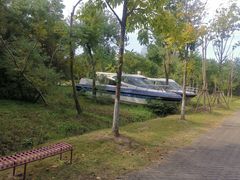 -上海海湾国家森林公园