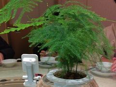-荷花亭·湖北融合菜(中商广场店)