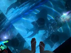 -暹罗海洋世界