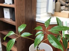 -Onirii Coffee(长乐路店)