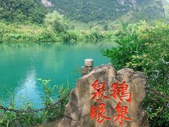-靖西鹅泉风景区