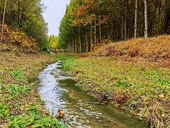 -东郊湿地公园