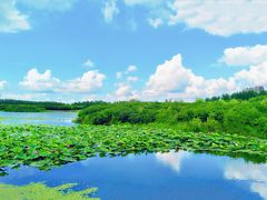 -丁香湖公园
