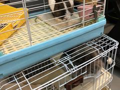 -UltraForce超源健身私教工作室(长楹天街精品店)