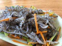 -竹青胶东摔面(黄岛开发区店)