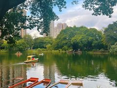 -晓港公园
