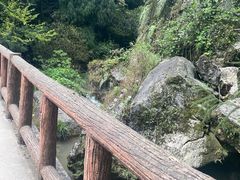 -青城山