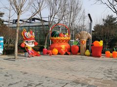 -南宫五洲植物乐园