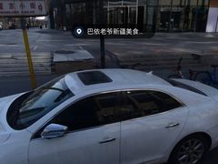 -巴依老爷新疆美食(望京小街店)