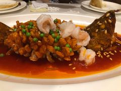 松鼠桂鱼-乾园风尚五大道
