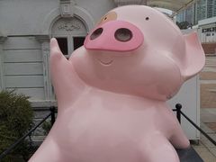 -珍妮曲奇聪明小熊(尖沙咀店)