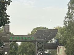 -溱湖国家湿地公园