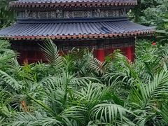 -南宫五洲植物乐园