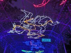 -南宫五洲植物乐园