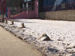 -北京西山滑雪场