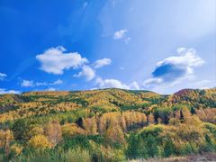 -塞罕坝国家级自然保护区