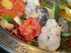 -贡椒鱼老店·雅安十大名店