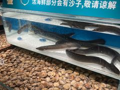 -東盛炭烤自助料理(玄武招商花园城店)